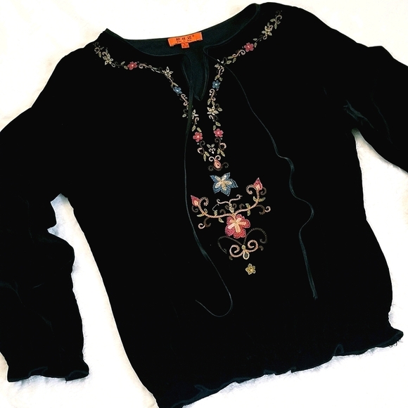 Embroidered Velvet Longsleeve Top - Picture 3 of 11